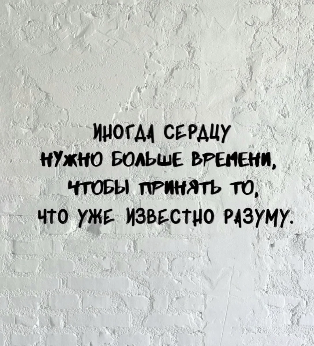 Пятничная доза смеха: черепаха грустит, а мы нет Пятничная доза смеха: черепаха грустит, а мы нет мемы, юмор, картинки, приколы, пятница
