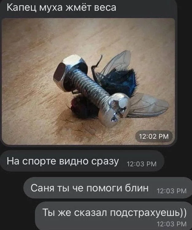 15 мемов, чтобы улыбнуться прямо сейчас мемы, юмор, картинки, подборка, смешное