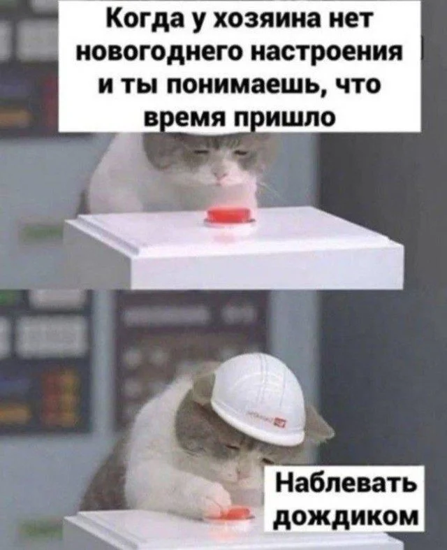 15 мемов, чтобы улыбнуться прямо сейчас мемы, юмор, картинки, подборка, смешное