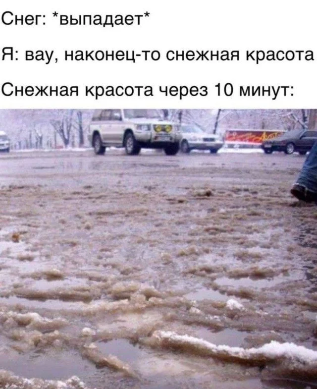 15 мемов, чтобы улыбнуться прямо сейчас мемы, юмор, картинки, подборка, смешное