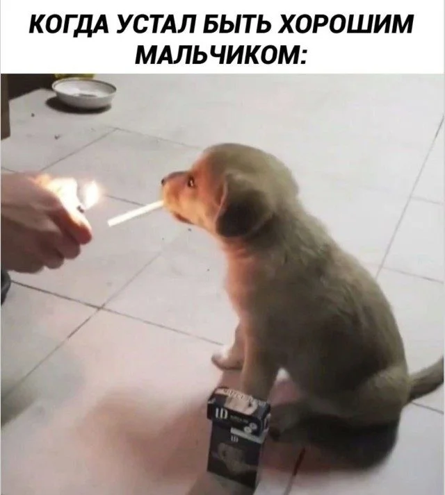 Улыбнись! Мемный микс дня Улыбнись! Мемный микс дня мемы, приколы, картинки, юмор, подборка