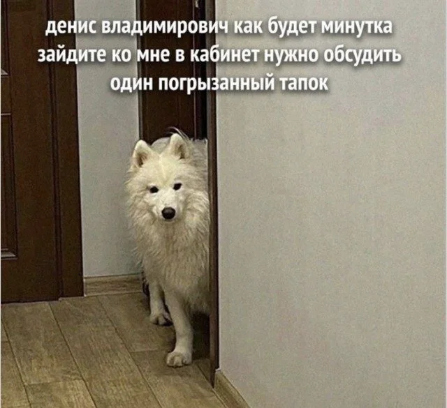 Улыбнись! Мемный микс дня
