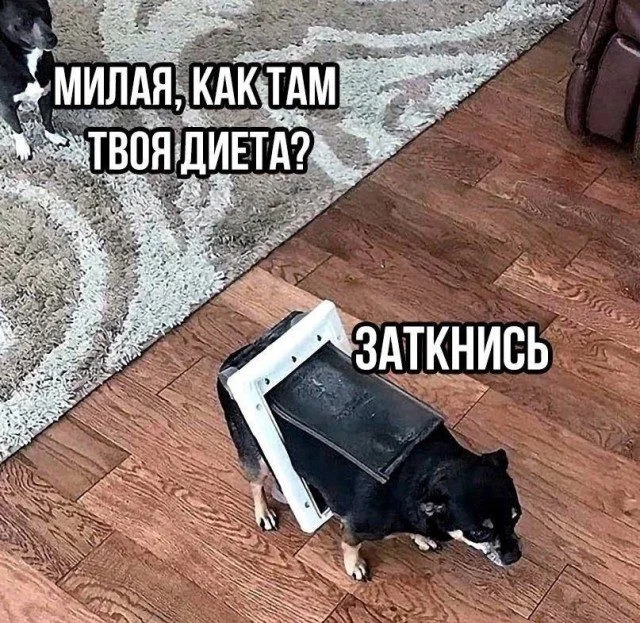 Мемы, от которых не устоять мемы, юмор, картинки, подборка, смех