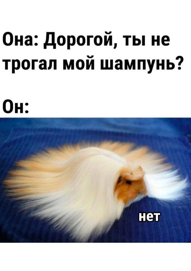 Мемы, от которых не устоять мемы, юмор, картинки, подборка, смех