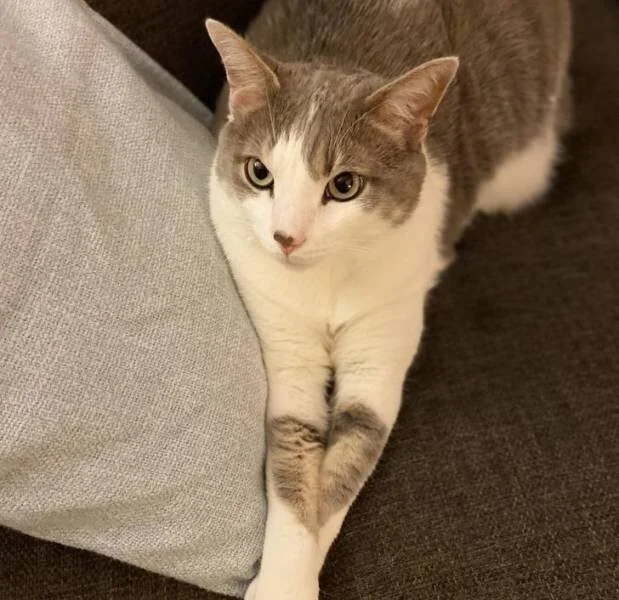 35 кадров, от которых вы зависнете на пару минут 35 кадров, от которых вы зависнете на пару минут фотографии, подборка, интересное, факты, природа, животные, необычное