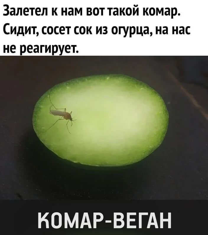 Самый сок юмора: мемы и картинки Самый сок юмора: мемы и картинки мемы, сок, юмор, картинки, приколы, подборка