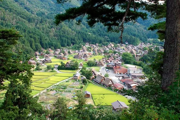 Деревня, где крыши складываются в молитву Япония, Сиракава, деревня, архитектура, путешествия, традиции, гассё-дзукури, Такаяма