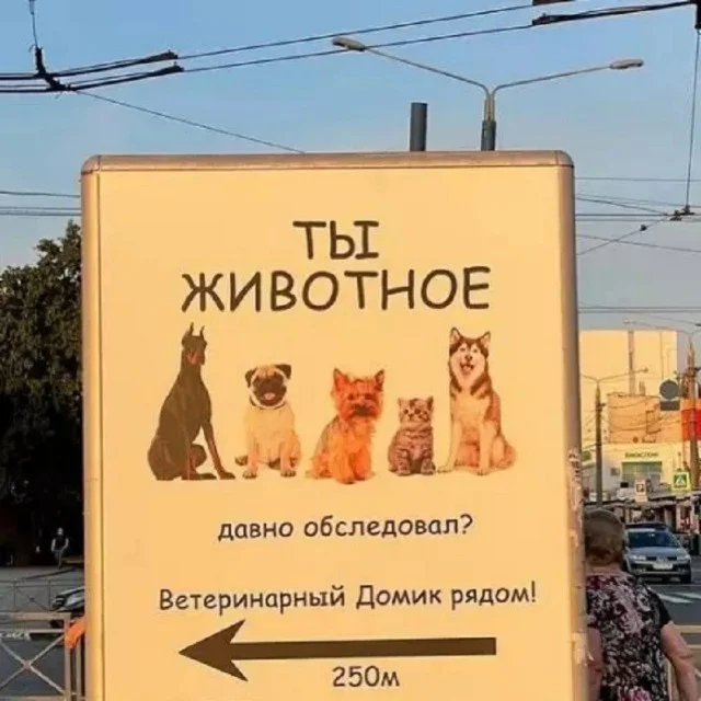 Воскресный смех: мемы для отдыха Воскресный смех: мемы для отдыха мемы, юмор, картинки, воскресенье, отдых