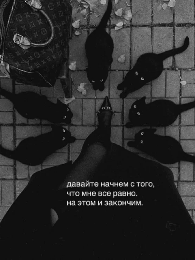 Воскресный смех: мемы для отдыха Воскресный смех: мемы для отдыха мемы, юмор, картинки, воскресенье, отдых