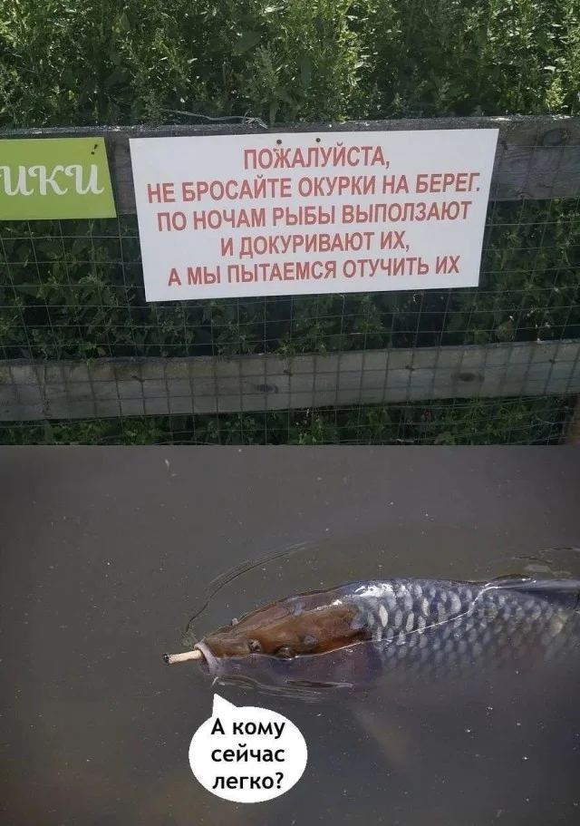 Воскресный смех: мемы для отдыха Воскресный смех: мемы для отдыха мемы, юмор, картинки, воскресенье, отдых