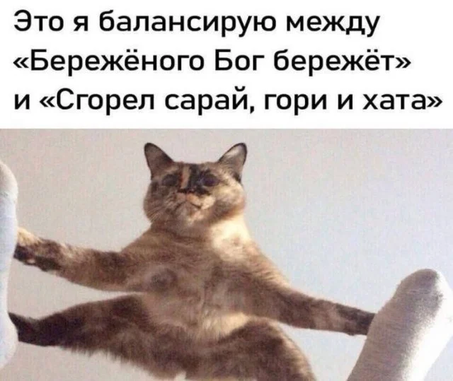 Воскресный смех: мемы для отдыха Воскресный смех: мемы для отдыха мемы, юмор, картинки, воскресенье, отдых
