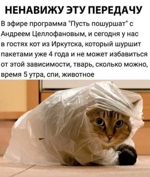 Воскресный смех: мемы для отдыха Воскресный смех: мемы для отдыха мемы, юмор, картинки, воскресенье, отдых