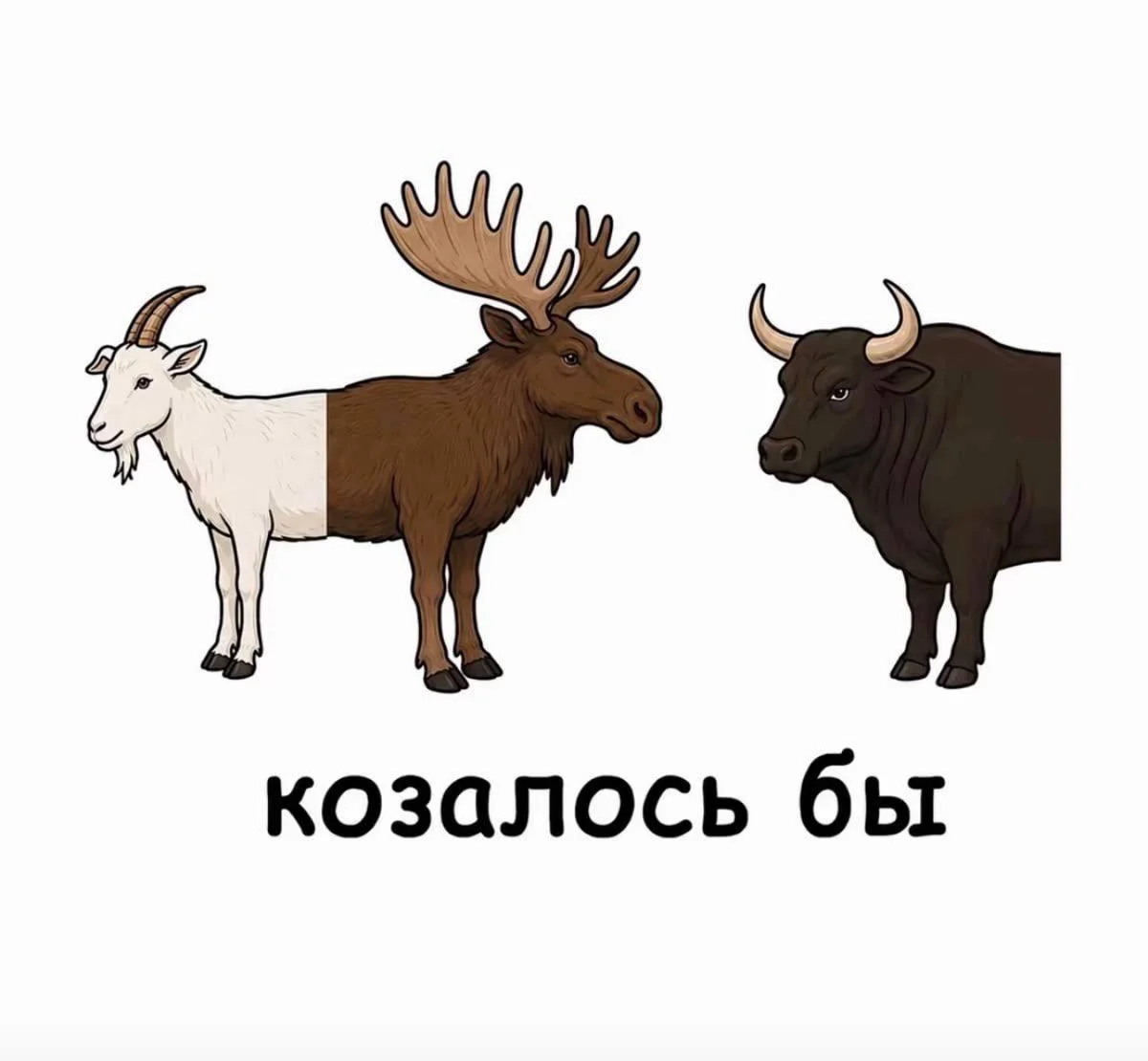 19 картинок, которые взорвут вам мозг смешные картинки, подборка, юмор, приколы, лол-арт, датчик движения, туалет