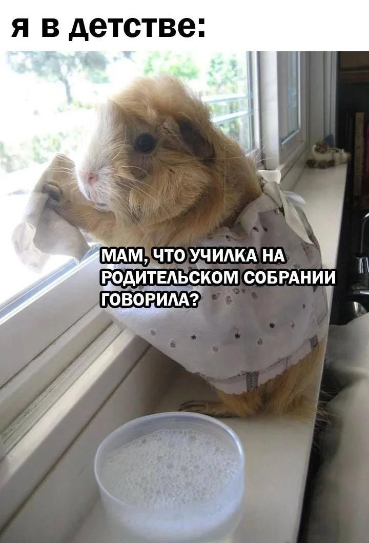 Уборка с улыбкой: мемы про порядок и чистоту Уборка с улыбкой: мемы про порядок и чистоту мемы, уборка, чистота, юмор, картинки, порядок