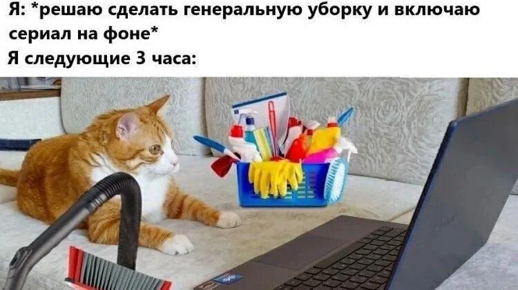 Уборка с улыбкой: мемы про порядок и чистоту Уборка с улыбкой: мемы про порядок и чистоту мемы, уборка, чистота, юмор, картинки, порядок