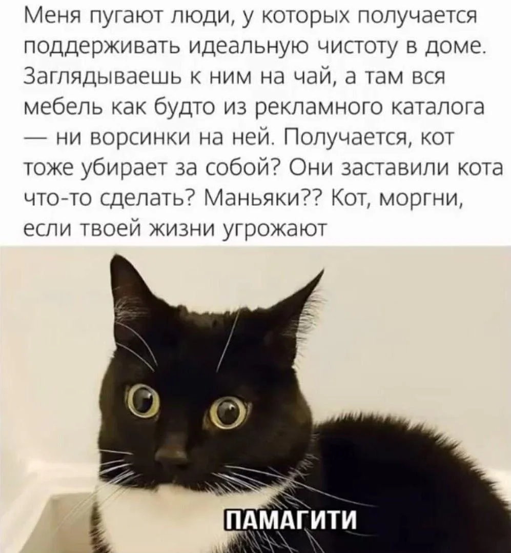 Уборка с улыбкой: мемы про порядок и чистоту Уборка с улыбкой: мемы про порядок и чистоту мемы, уборка, чистота, юмор, картинки, порядок