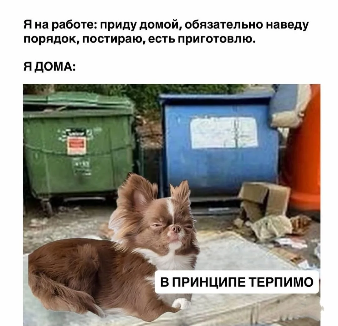 Уборка с улыбкой: мемы про порядок и чистоту Уборка с улыбкой: мемы про порядок и чистоту мемы, уборка, чистота, юмор, картинки, порядок