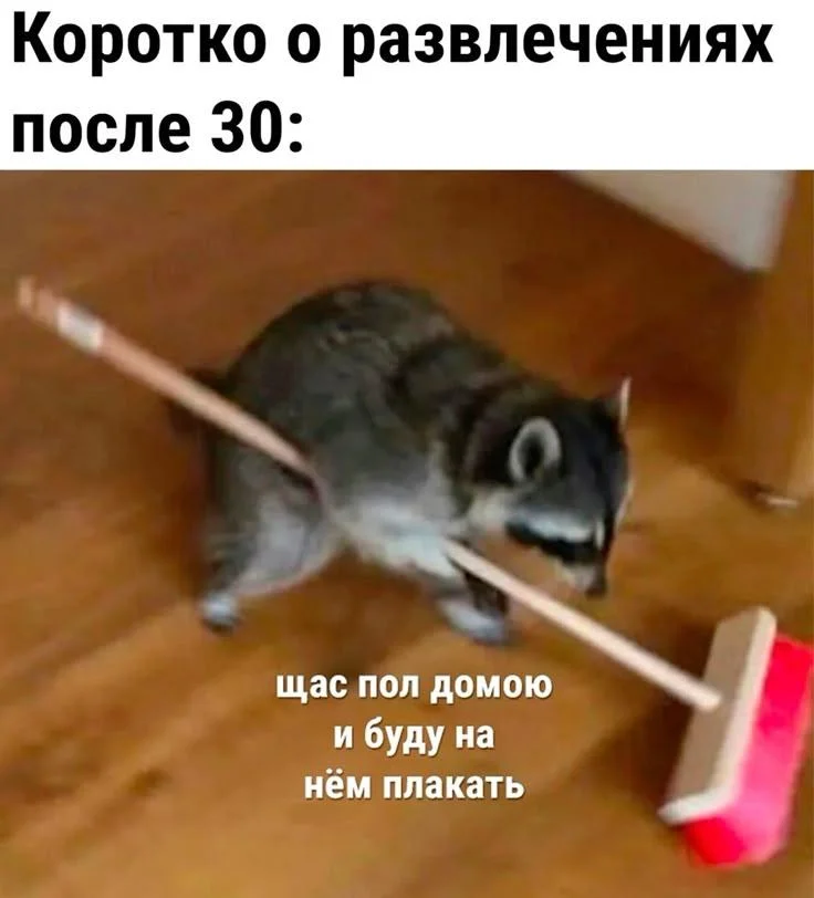 Уборка с улыбкой: мемы про порядок и чистоту Уборка с улыбкой: мемы про порядок и чистоту мемы, уборка, чистота, юмор, картинки, порядок