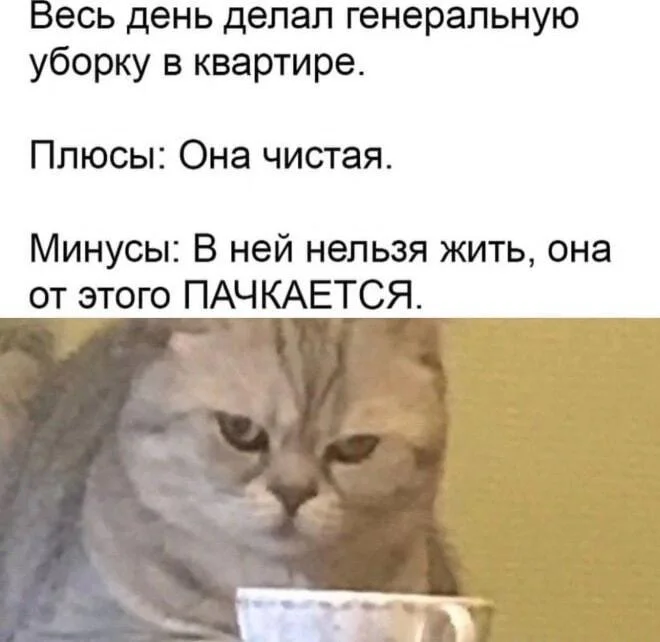Уборка с улыбкой: мемы про порядок и чистоту Уборка с улыбкой: мемы про порядок и чистоту мемы, уборка, чистота, юмор, картинки, порядок