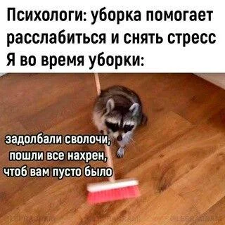 Уборка с улыбкой: мемы про порядок и чистоту Уборка с улыбкой: мемы про порядок и чистоту мемы, уборка, чистота, юмор, картинки, порядок