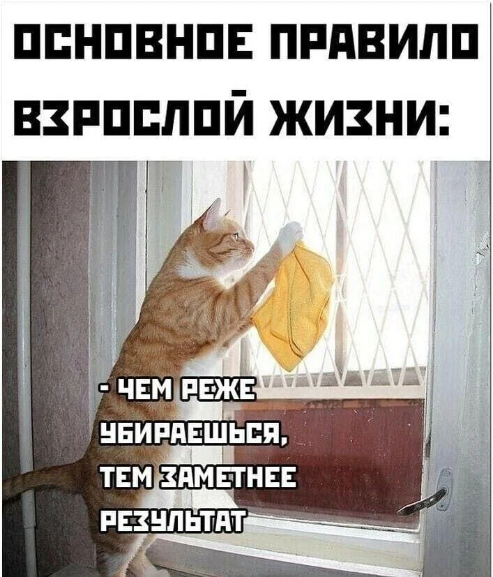 Уборка с улыбкой: мемы про порядок и чистоту Уборка с улыбкой: мемы про порядок и чистоту мемы, уборка, чистота, юмор, картинки, порядок