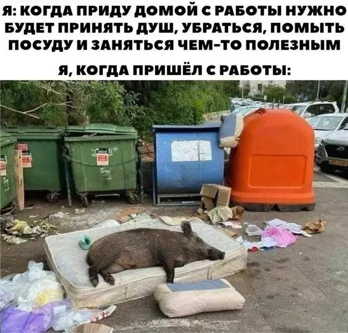 Уборка с улыбкой: мемы про порядок и чистоту Уборка с улыбкой: мемы про порядок и чистоту мемы, уборка, чистота, юмор, картинки, порядок
