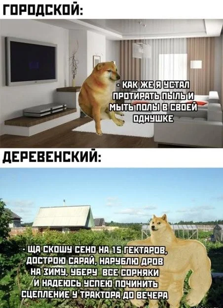 Уборка с улыбкой: мемы про порядок и чистоту Уборка с улыбкой: мемы про порядок и чистоту мемы, уборка, чистота, юмор, картинки, порядок