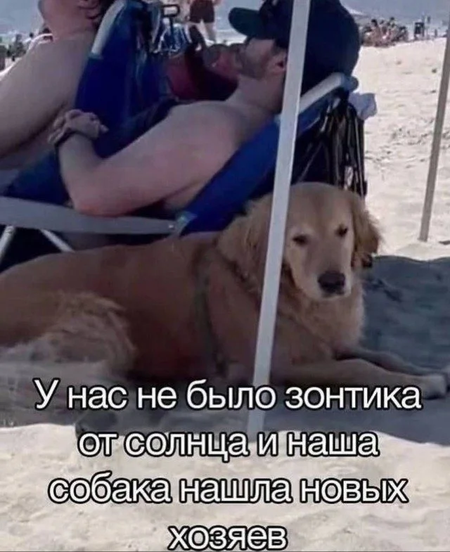 Когда жизнь подкидывает мемы мемы, юмор, картинки, работа, друзья, приколы