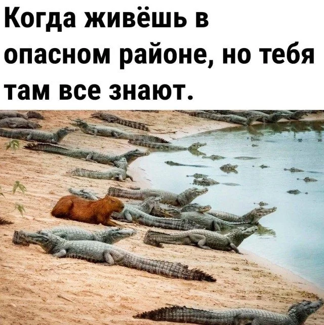 Когда жизнь подкидывает мемы мемы, юмор, картинки, работа, друзья, приколы
