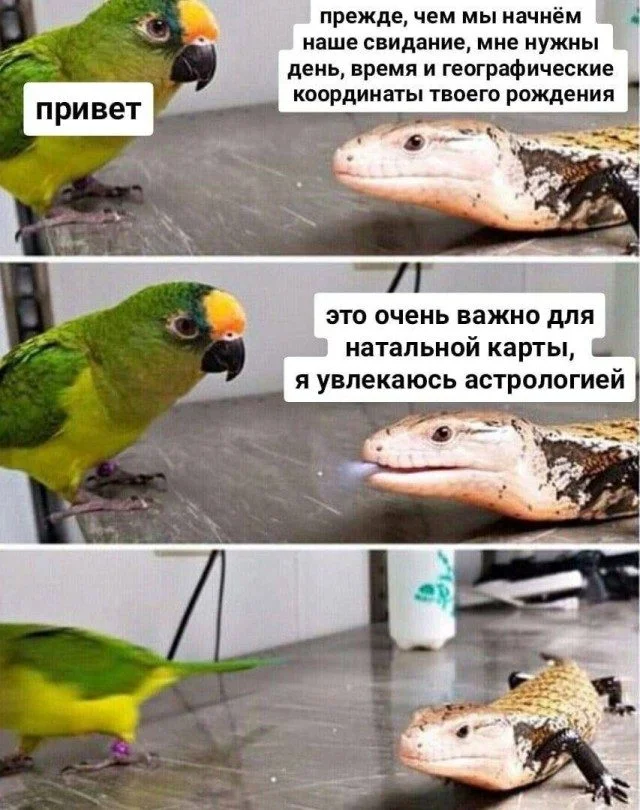 Когда жизнь подкидывает мемы мемы, юмор, картинки, работа, друзья, приколы