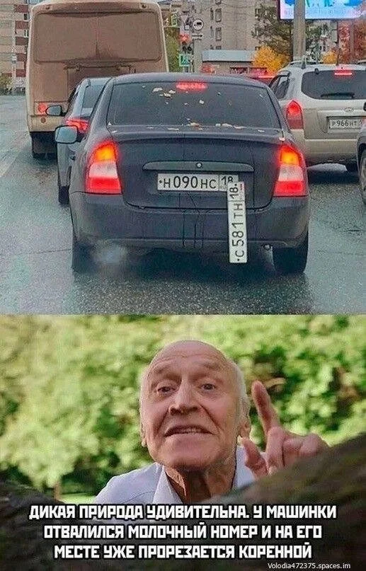 Когда жизнь подкидывает мемы мемы, юмор, картинки, работа, друзья, приколы