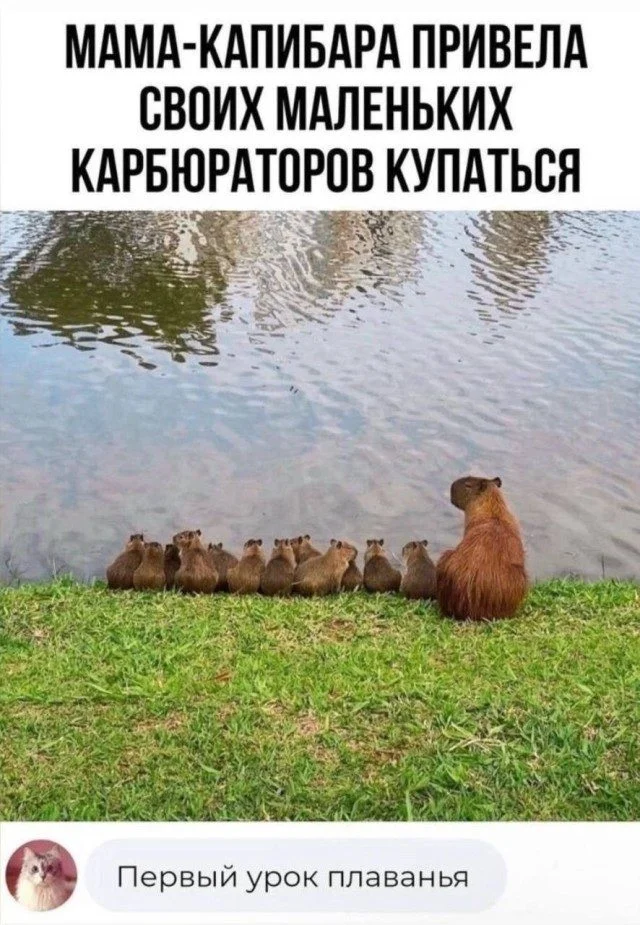 Когда жизнь подкидывает мемы мемы, юмор, картинки, работа, друзья, приколы