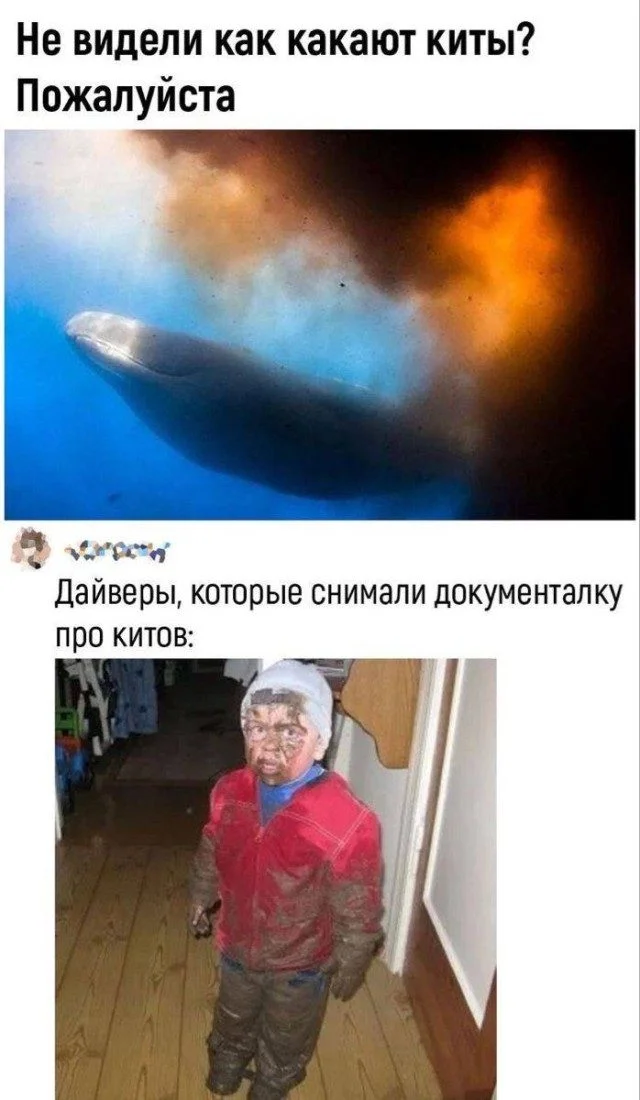 Когда жизнь подкидывает мемы мемы, юмор, картинки, работа, друзья, приколы