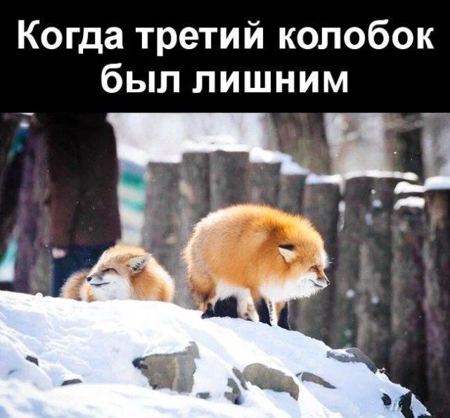 Когда жизнь подкидывает мемы мемы, юмор, картинки, работа, друзья, приколы