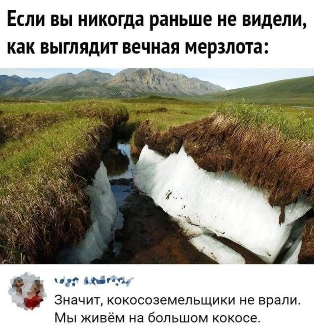 Когда жизнь подкидывает мемы мемы, юмор, картинки, работа, друзья, приколы