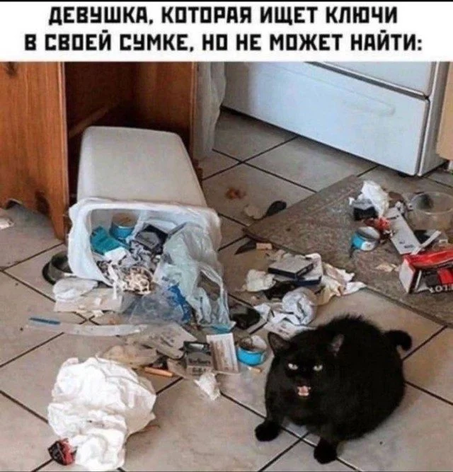 Когда жизнь подкидывает мемы мемы, юмор, картинки, работа, друзья, приколы