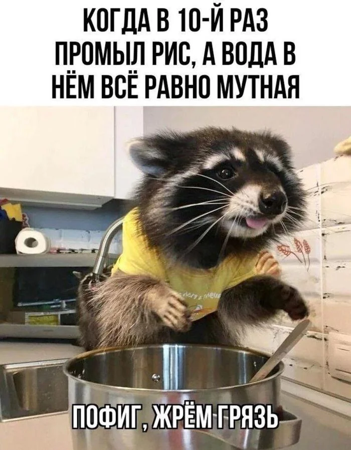 Рис смеху не помеха: убойная подборка мемов мемы, рис, юмор, картинки, подборка, еда, плов
