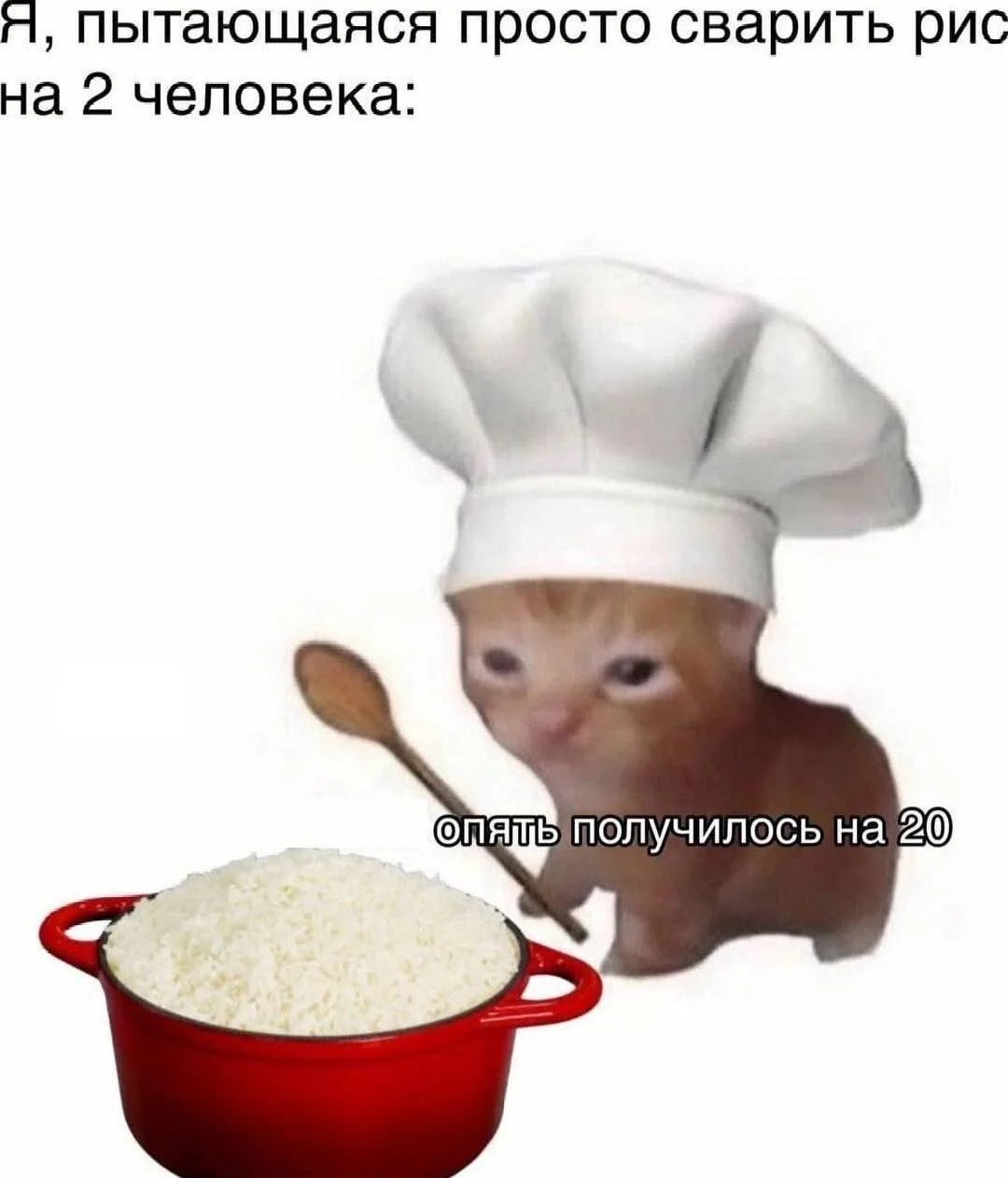 Рис смеху не помеха: убойная подборка мемов мемы, рис, юмор, картинки, подборка, еда, плов