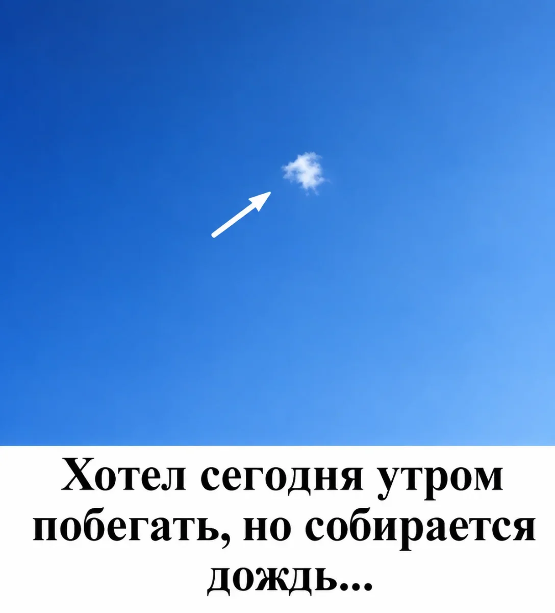 Юмор за неделю и котик Юмор за неделю и котик юмор, мемы, картинки, котик, подборка