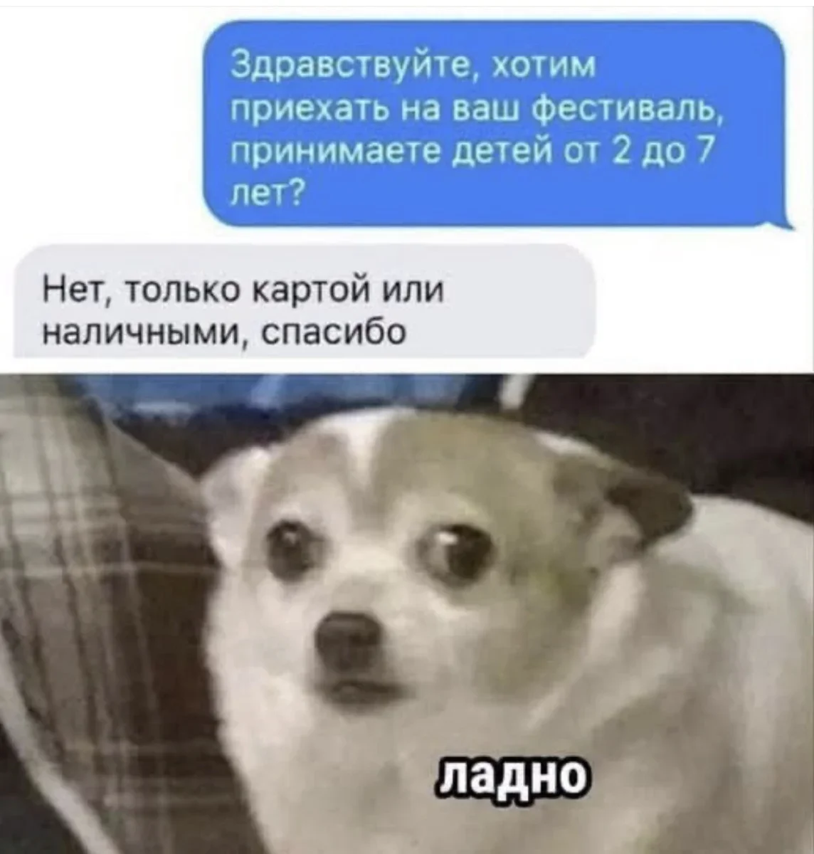Юмор за неделю и котик Юмор за неделю и котик юмор, мемы, картинки, котик, подборка