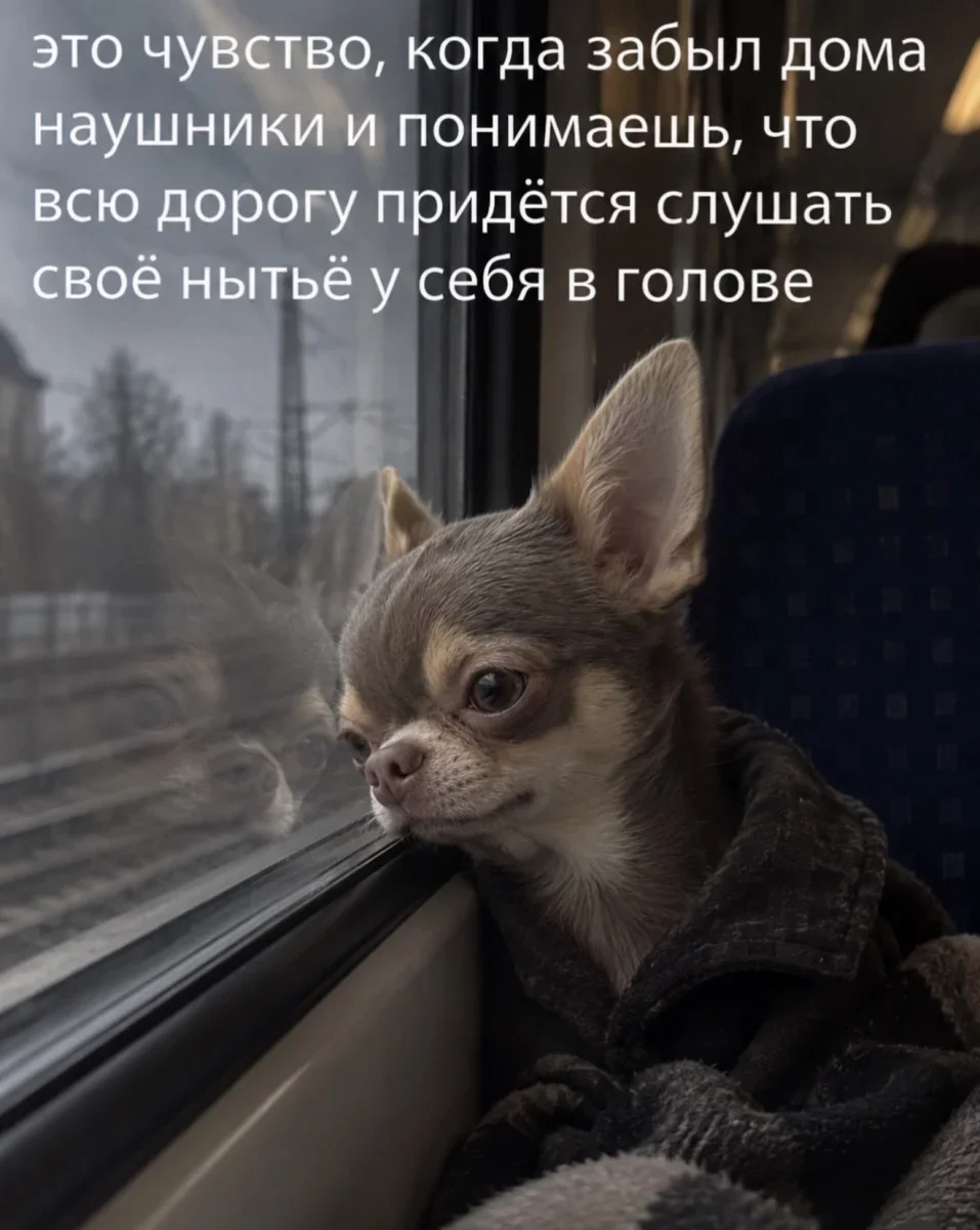 Юмор за неделю и котик Юмор за неделю и котик юмор, мемы, картинки, котик, подборка