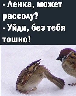 Смех сквозь бензин: свежая порция сатиры юмор, сатира, анекдоты, политика, Россия, бензин, чиновники