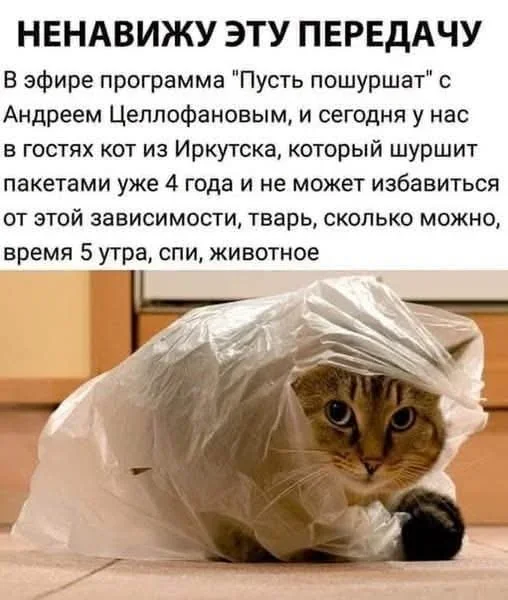 Мемы на утро 21 сентября мемы, юмор, картинки, подборка, понедельник