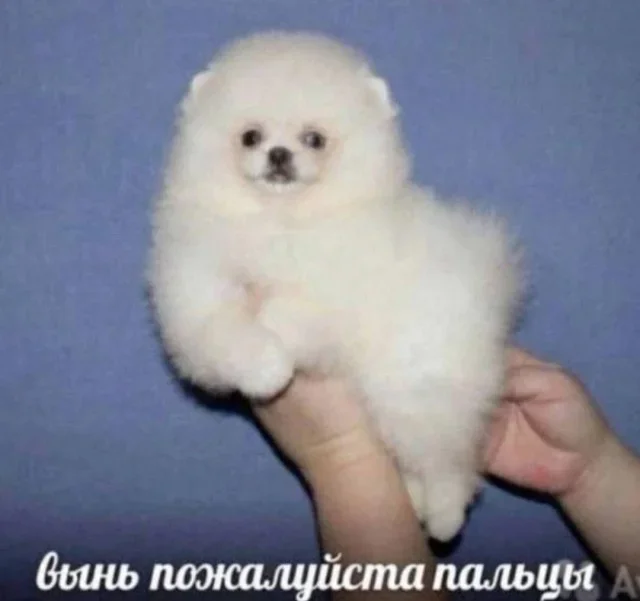 Мемы на утро 21 сентября мемы, юмор, картинки, подборка, понедельник