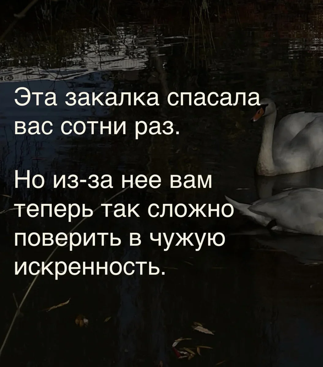 Вечерний заряд смеха: подборка мемов за 21 сентября мемы, юмор, картинки, приколы, смешное