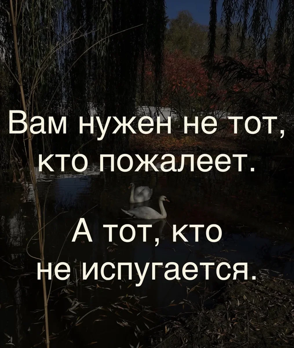 Вечерний заряд смеха: подборка мемов за 21 сентября мемы, юмор, картинки, приколы, смешное