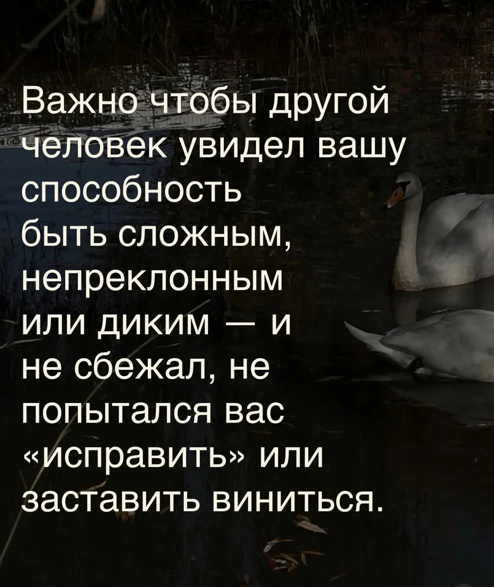 Вечерний заряд смеха: подборка мемов за 21 сентября мемы, юмор, картинки, приколы, смешное
