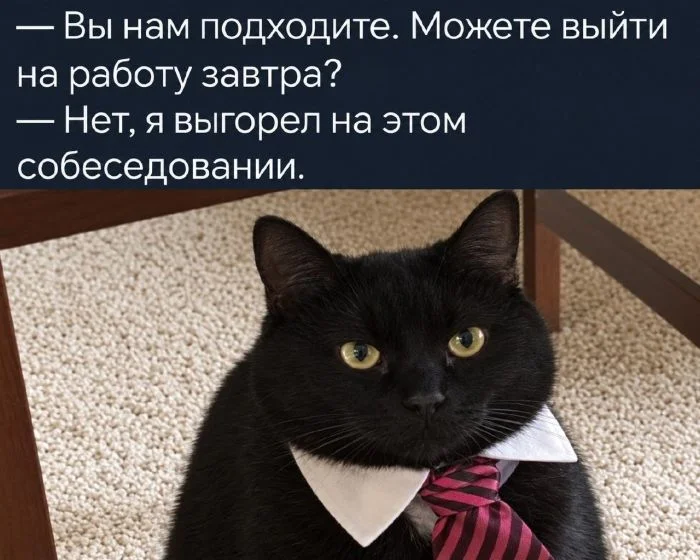 Мемы, от которых невозможно не заржать Мемы, от которых невозможно не заржать мемы, черный юмор, приколы, картинки, подборка