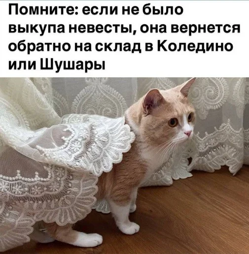Мемы, от которых невозможно не заржать Мемы, от которых невозможно не заржать мемы, черный юмор, приколы, картинки, подборка
