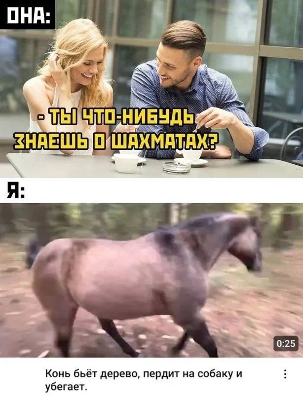 Мемы вторника: проверь IQ и узнай признаки пустышки мемы, юмор, картинки, приколы, IQ тест
